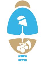 BIP Logo